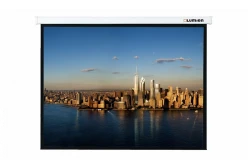 [LMC-100216] Экран с электроприводом Lumien Master Control
